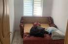 Apartament 3 camere Palas – zona Sf Lazar