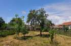 Casa cu teren de vanzare, 370 mp, zona Sibot - 5