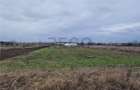 RECO Teren intravilan in Bors cu front mare - 4