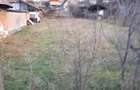 Casa cu teren 1240mp pe Transalpina in sat Laz,comuna Sasciori, Alba,