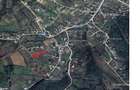 teren de vanzare tomesti intravilan utilitati 3000 mp 35 euro/mp - 1