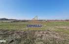 TEREN INTRAVILAN 3.870 MP BUFTEA | ZONA TAMASI | FRONT STRADAL 32 - 5