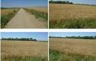 Teren extravilan cota parte 1/6 Domnesti ; ID: R2928832 - 6