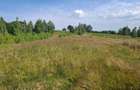 Vand teren langa Ferma Stana Dacilor, 3.5 hectare