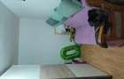 Vind apartament 2 camere 33mp - 1