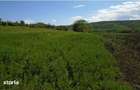 Teren extravilan Comuna Bradeni, Jud Sibiu - 4
