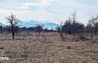 Teren intravilan pentru Investitie!,933mp in Ghimbav, 50 euro/mp neg. - 3