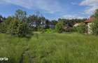 Teren intravilan | Goranu,Ramnicu Valcea | Barajul Oltului |1.320 mp - 8
