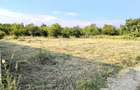 Teren de vanzare str Prunilor,Smeura Arges - 2