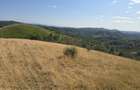 15 Hectare teren la munte ?inutul Padurenilor - 12