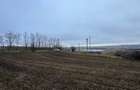 Teren Dorohoi - 23000 mp - Sau - Parcele 1000mp, 900mp, 1500mp, etc. - 9