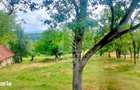 Teren Intravilan Magulicea - Zona Varfurile - 4