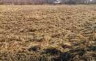 Teren de 6000 mp, în Fălticeni - 6