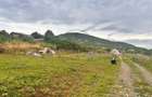 Teren intravilan cu utilitati, 550 mp, in Viisoara - 1