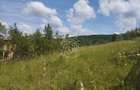 Teren 40.000 mp-ideal investitie-Slatinita - 4