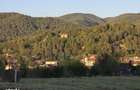 Teren de vanzare in Sovata - 1000 mp / Dealul Mestecanisului