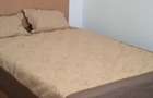 Berceni, Brancoveanu 116, stradal, contract ANAF, ac, tv - 9