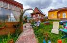 CASA VACANTA si CASA LA ROSU/938 mp teren SATU NOU/HALCHIU