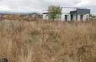 Teren intravilan de vanzare pentru constructie casa Avrig