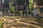Oportunitate Investitie ! 2 camere, Decomandat, Aleea Micus, - 9