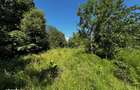Teren doua loturi 3100/14 mp. - 2800/12 mp. Daesti - Valcea - 6
