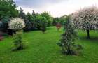 Casa spatioasa de vanzare in Chisineu-Cris zona linistita - 1