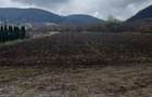 6700 Mp Teren Albesti- Sighisoara