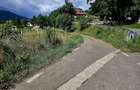 Teren 600mp Viisoara / Strada Primaverii - 1