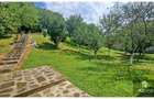 Vila superba, zona impadurita Valenii de Munte, teren 2473 mp