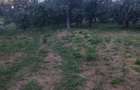 Vand teren cu pomi fructiferi + teren agricol
