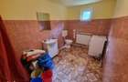 Proprietate cu casa,hambar,bazine pastrav,teren 5.655mp,Hobi?a-Retezat - 18