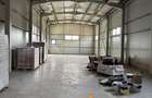 CUG , SPATIU COMERCIAL 300 MP + 2000 MP CURTE - 6