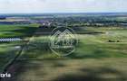 Teren Intravilan 20.000 mp Creata Dascalu, T66 dubla deschidere - 3
