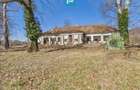 Conac nobiliar de secol XIX cu 8 camere in Maciova - 19