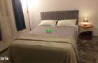 Apartament de inchiriat 3 camere Sibiu Vasile Aaron - 4