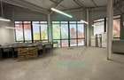 Spatii comerciale de inchiriat in PIATA DELFINULUI - 3