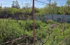 Teren agricol intravilan de 2050 mp, în Valea Măcrișului - 1