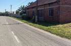 Casă cu 4 camere cu Teren 4113 Mp în Sacoșu Mare - 3