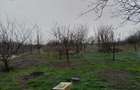 Casă cu 5 camere în Racovița - 6