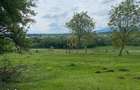 Teren de vanzare in Cisnadioara, aproape de cetate, cu priveliste supe