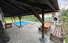 Cabana cu piscina - Lacul Surduc - 4
