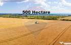 Teren 500 h plus 1000h arenda Vrancea - 6