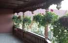 Casa de vanzare in Balesti Gorj