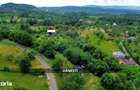 Teren intravilan 6115mp | Danesti, Maramures | Oportunitate investitie - 4