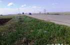 Vand 2500 mp, INTRAVILAN Ghimpati, 9999Euro - 1