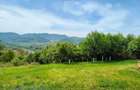 Teren ?oimu?, 1.550 mp, apa, panorama Cetatea Devei 20.000