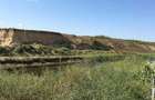 Vand-inchiriez teren in delta-Dunavatul de jos - 2