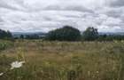 Teren intravilan 4594 mp, deschidere 66 ml, Galanesti, Radau - Galanesti (Suceava)