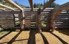 Casa din lemn rotund 100mp in faza de constructie cu relocare inclusa in pret - 1