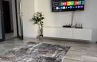 Apartament de inchiriat Grand Arena str.Drumul Dealul Cucului - 3